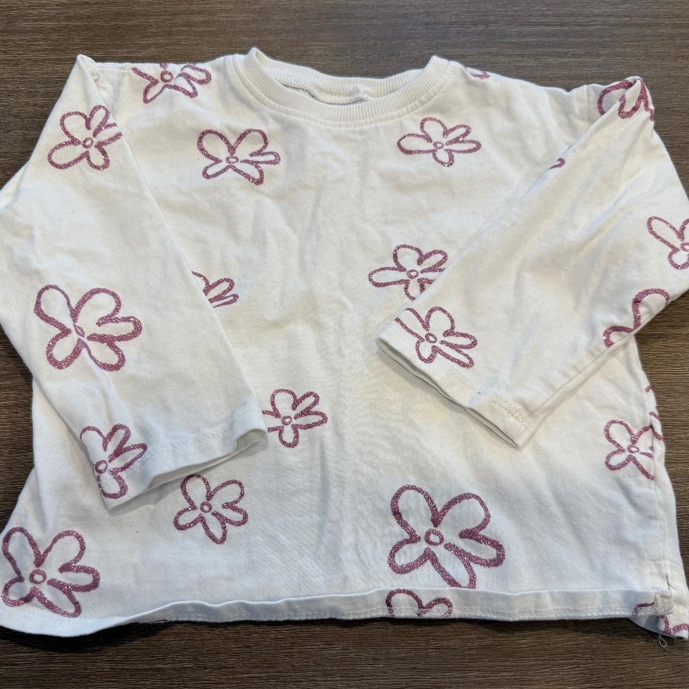 Zara Toddler long-sleeve Pink Glitter Flower Top
